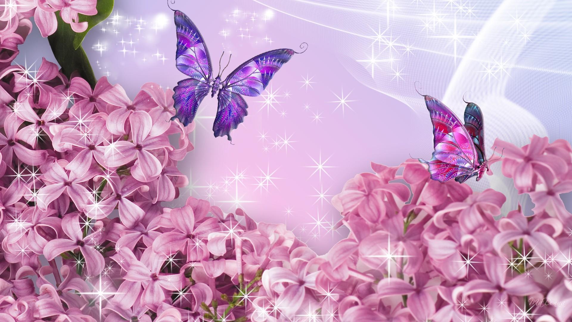 papier peint à fleurs lilas,papillon,violet,insecte,lilas,violet