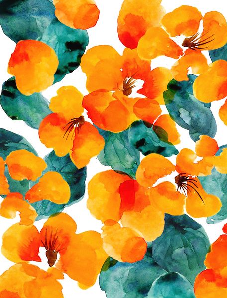 orange floral wallpaper,nasturtium,flower,orange,petal,plant