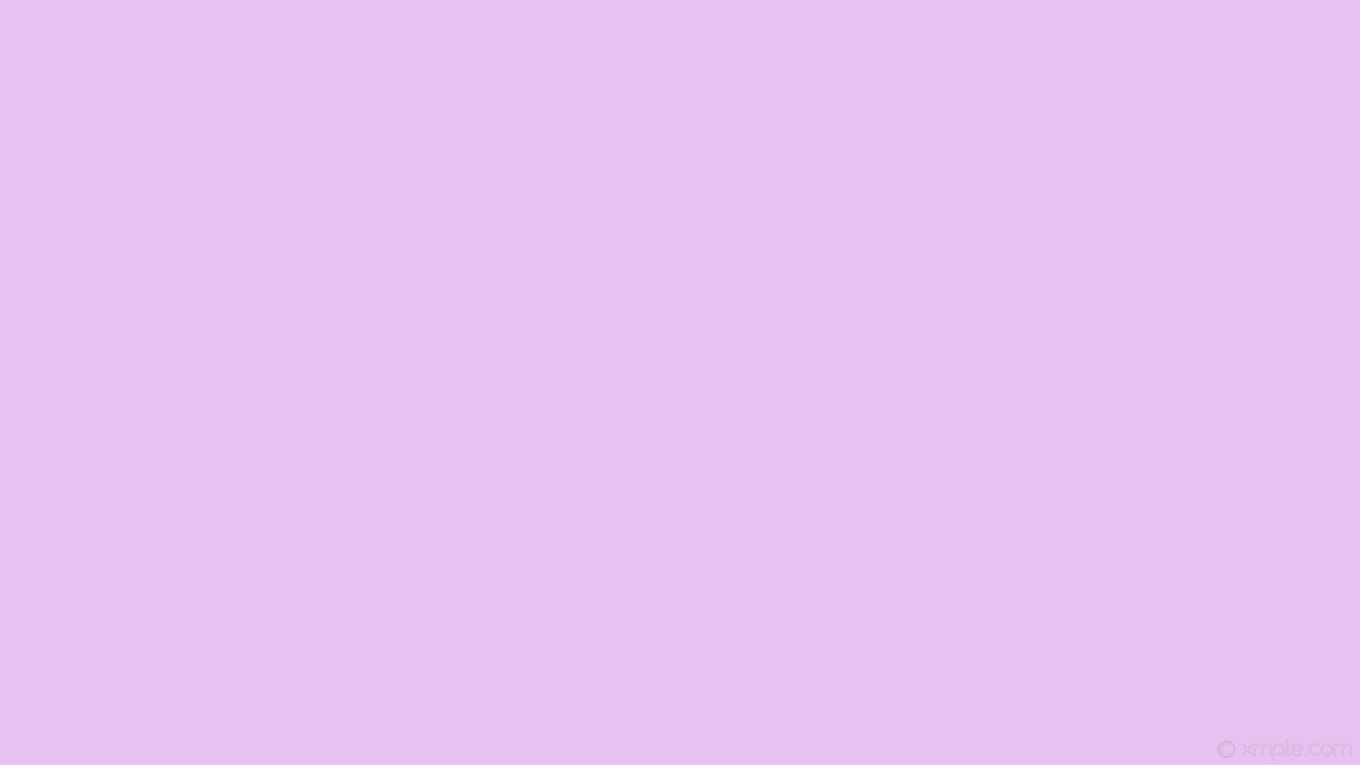 papier peint pastel uni,violet,rose,violet,lilas,lavande