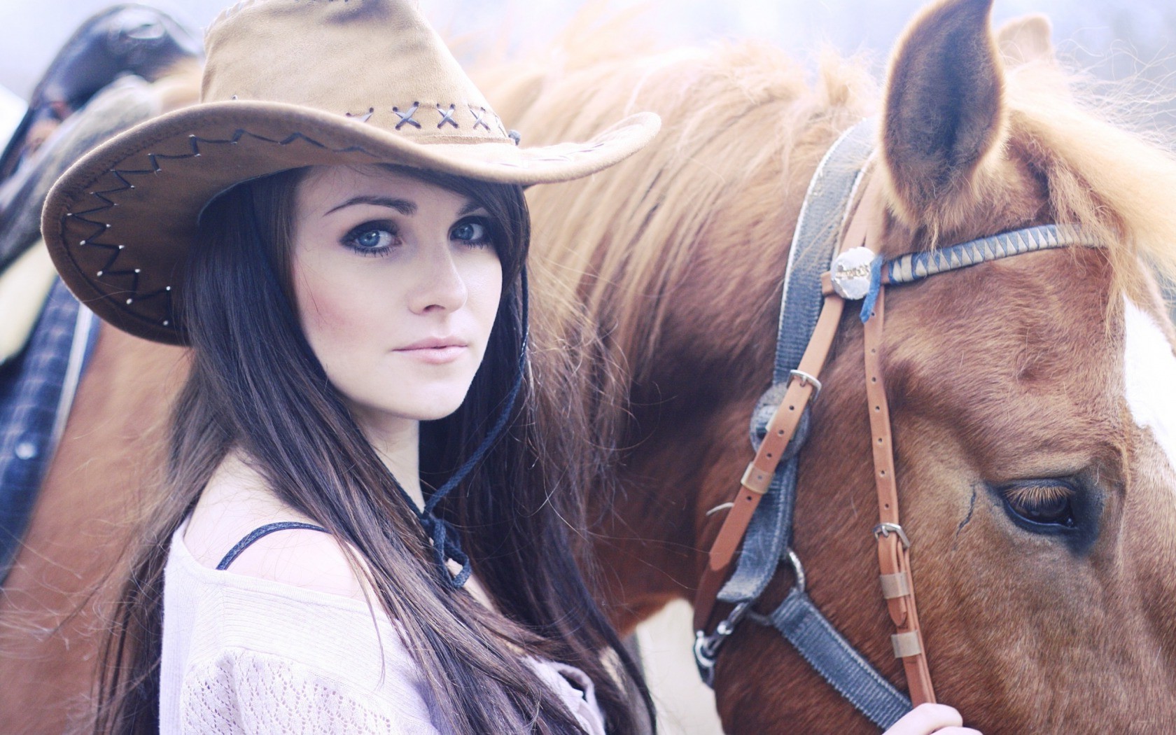 fondo de pantalla de vaquera,caballo,brida,tachuela,frio,sombrero