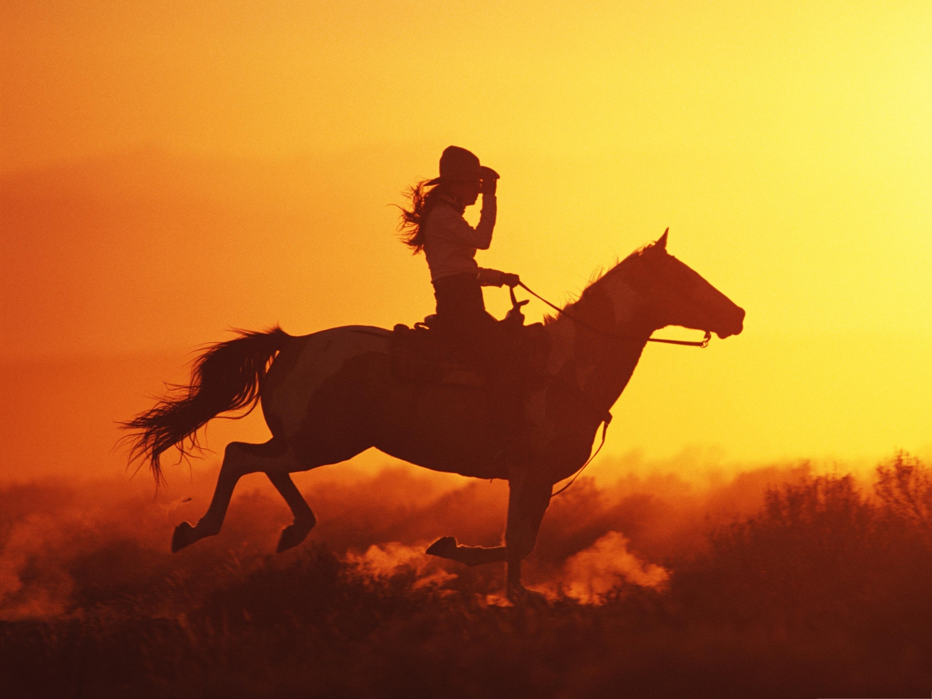 carta da parati cowgirl,cavallo,cielo,stallone,cavallo mustang,criniera