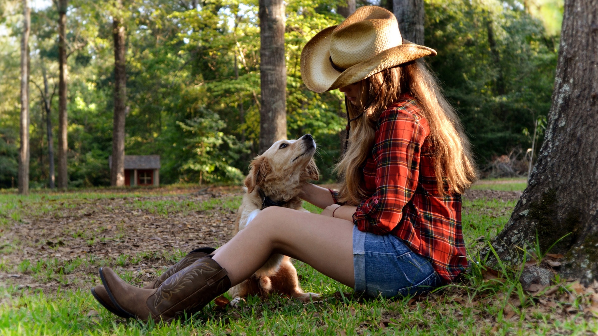 cowgirl wallpaper,grass,footwear,cowboy hat,boot,tree