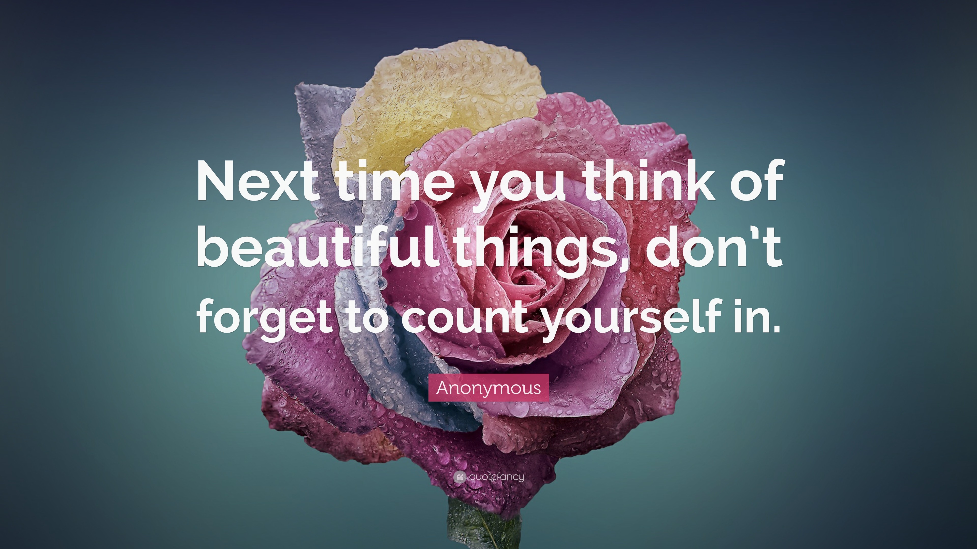 beautiful thoughts wallpaper,petal,pink,flower,garden roses,text