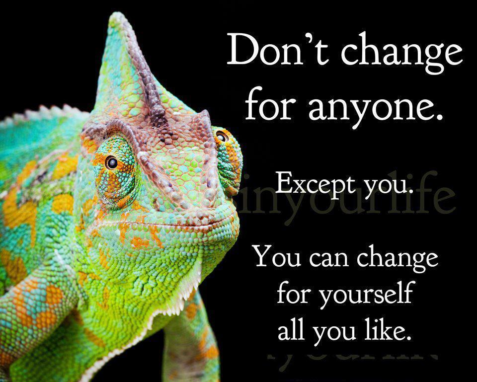 good thoughts wallpaper,chameleon,iguania,lizard,common chameleon,reptile