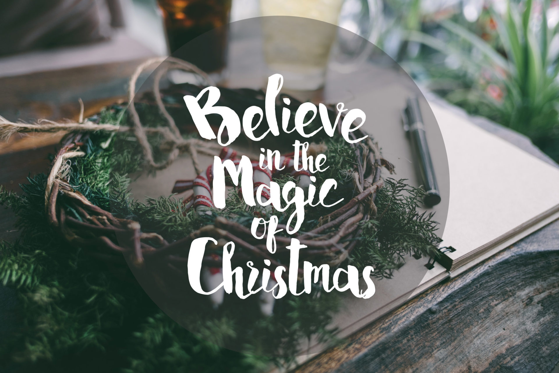 christmas quote wallpaper,font,grass,plant,herb,tree