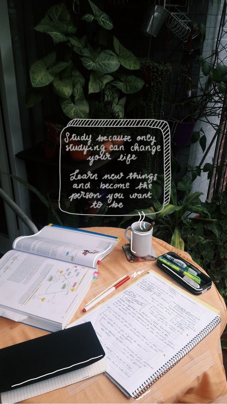 study quotes wallpaper,font,table,plant