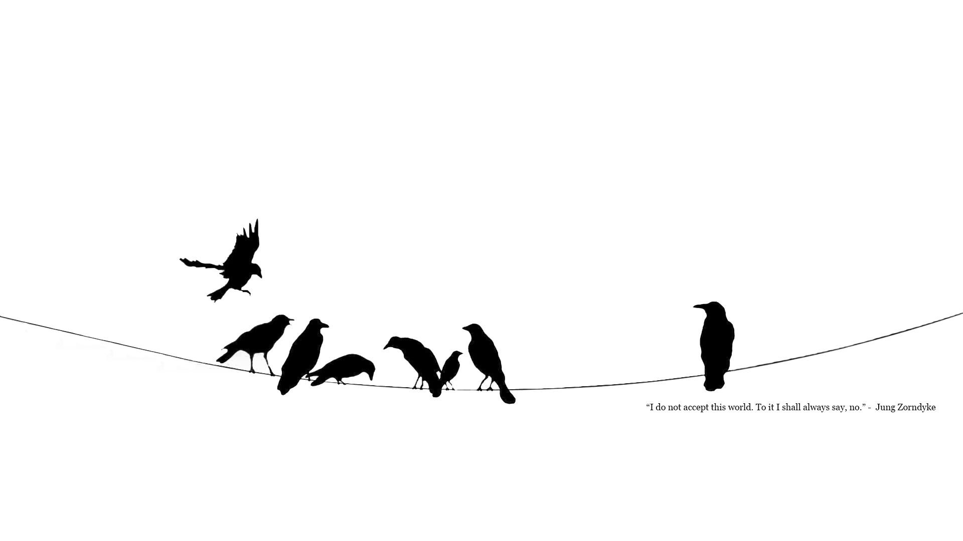 white quotes wallpaper,line,bird,silhouette,font,black and white