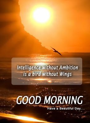 english quotes wallpapers,sky,morning,sunrise,text,horizon