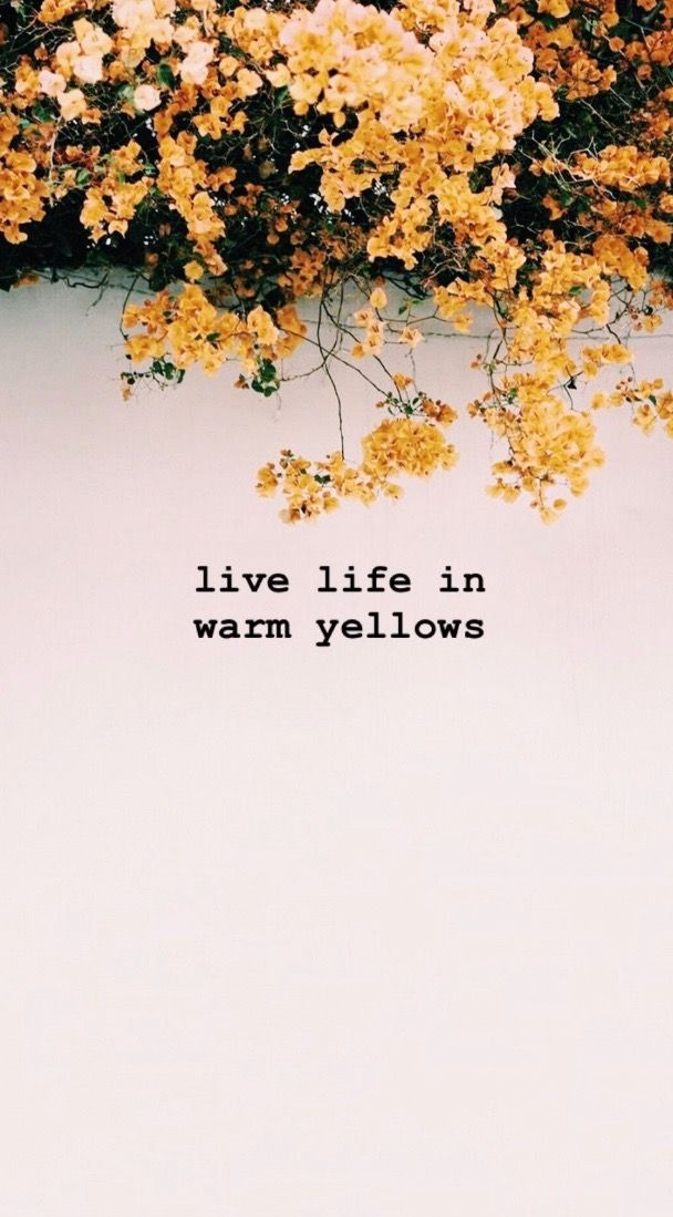 pinterest wallpaper quotes,text,yellow,tree,leaf,plant