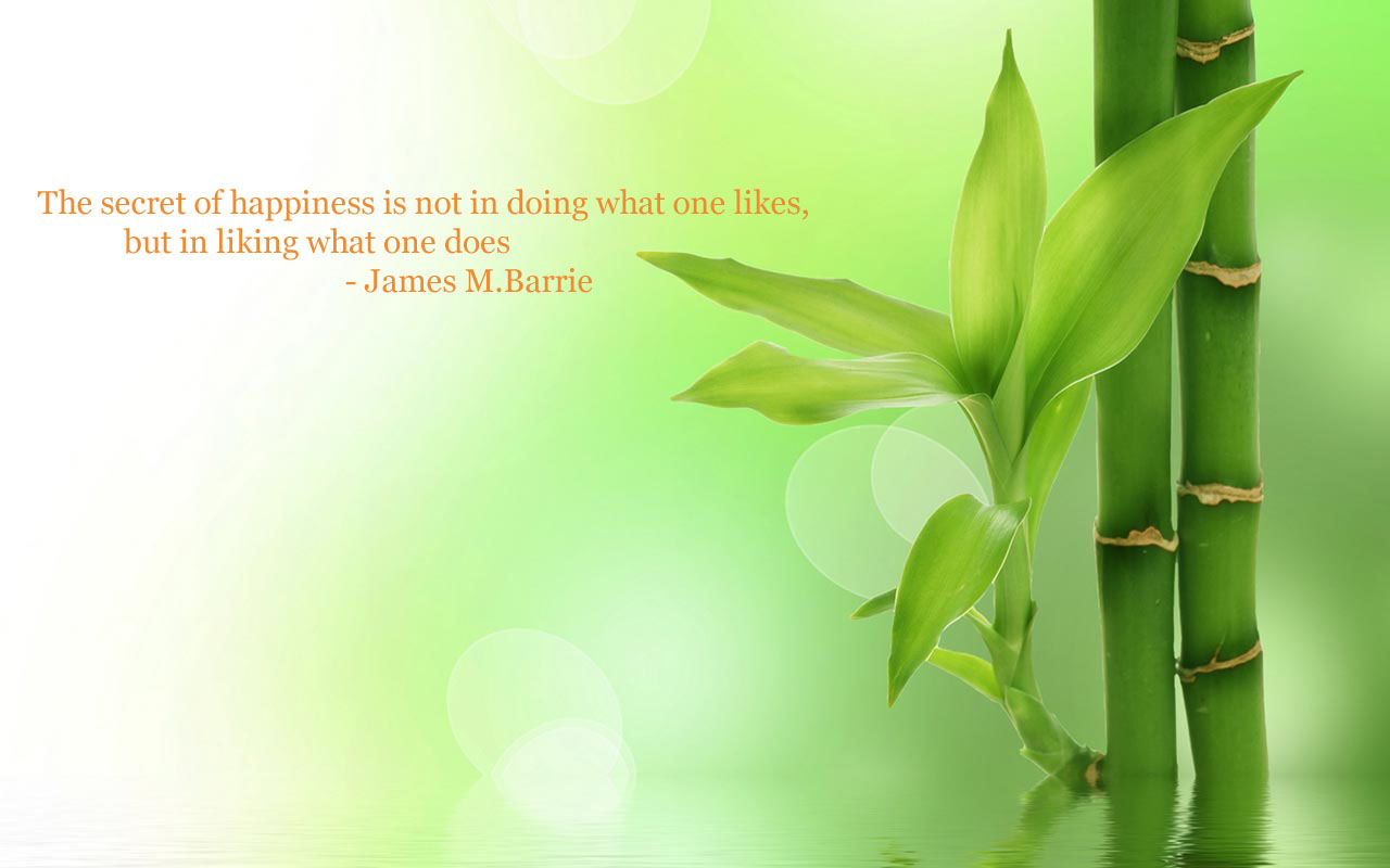 happy wallpapers with quotes,green,leaf,plant,flower,terrestrial plant
