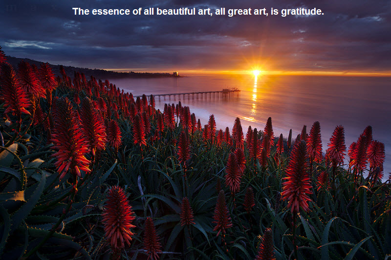 引用付きの素晴らしい壁紙,自然,赤,空,自然の風景,日没