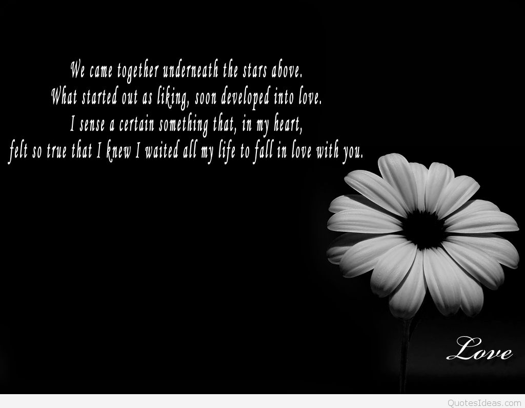 amazing wallpapers with quotes,text,petal,white,monochrome photography,black