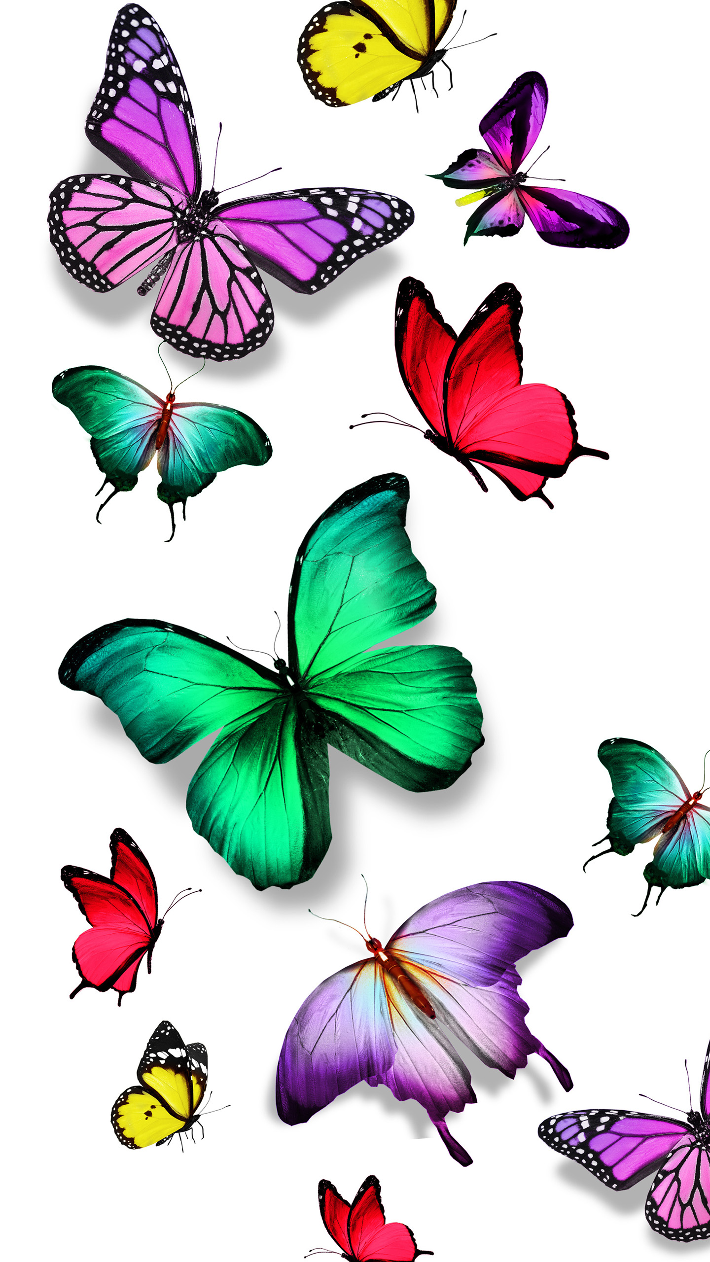 colorful butterfly wallpaper,butterfly,insect,moths and butterflies,pollinator,clip art