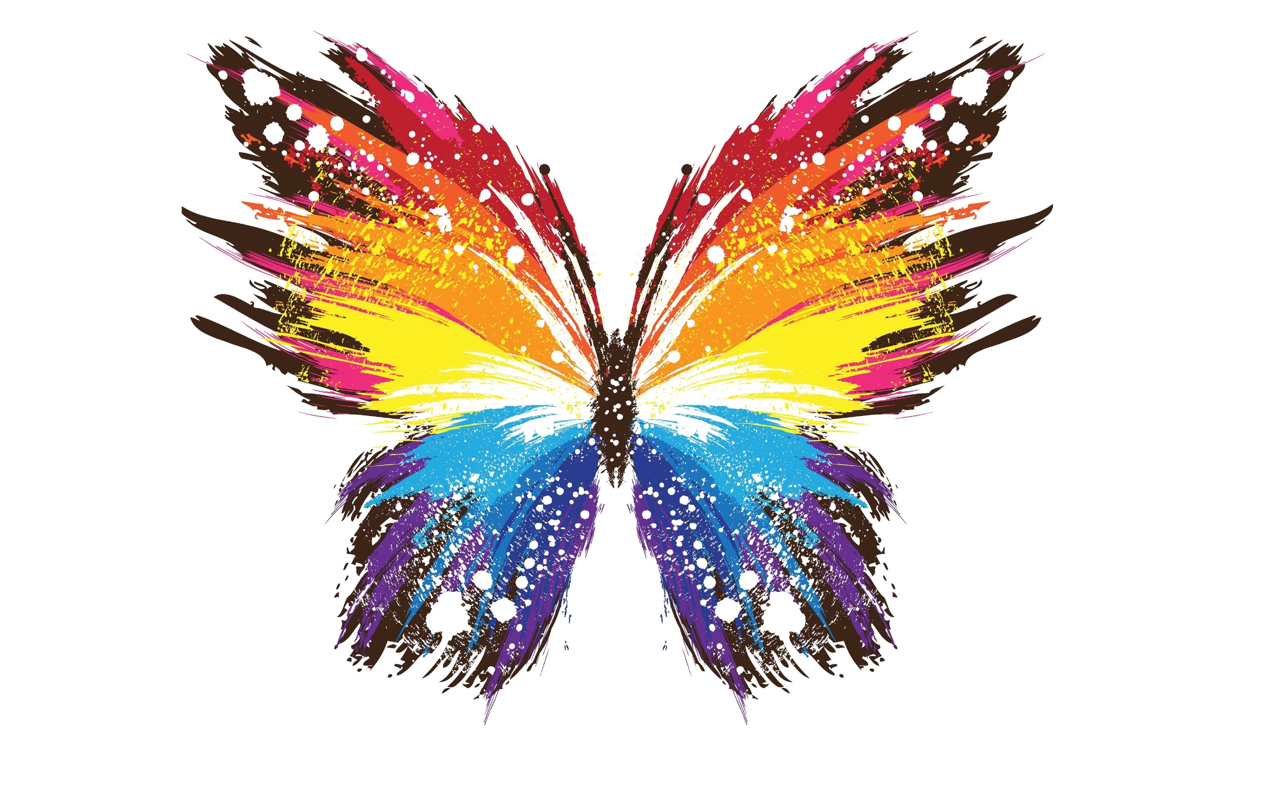 colorful butterfly wallpaper,butterfly,feather,wing,moths and butterflies,insect