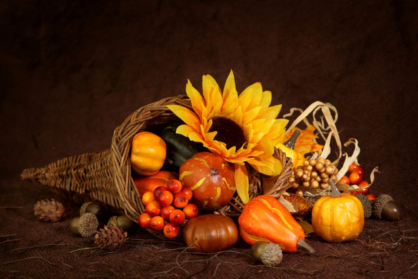 Hd Happy Thanksgiving Wallpapers - Thanksgiving Wallpapers Live