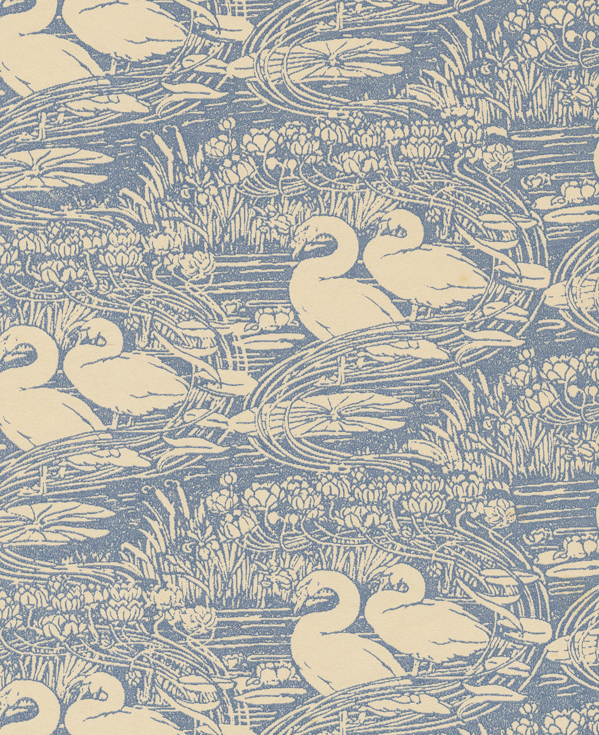 laura ashley swan wallpaper,water bird,bird,swan,ducks, geese and swans