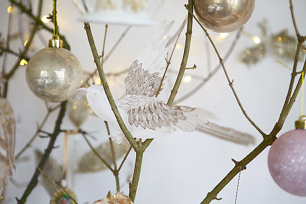 laura ashley swan tapete,weiß,zweig,baum,ornament,winter