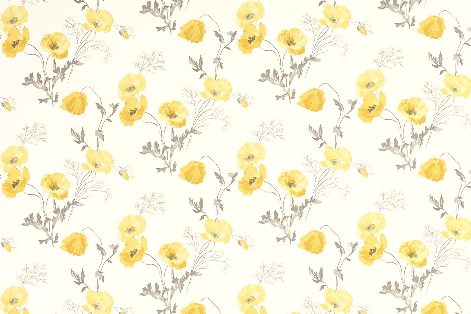 laura ashley yellow wallpaper,yellow,chamomile,flower,line,plant