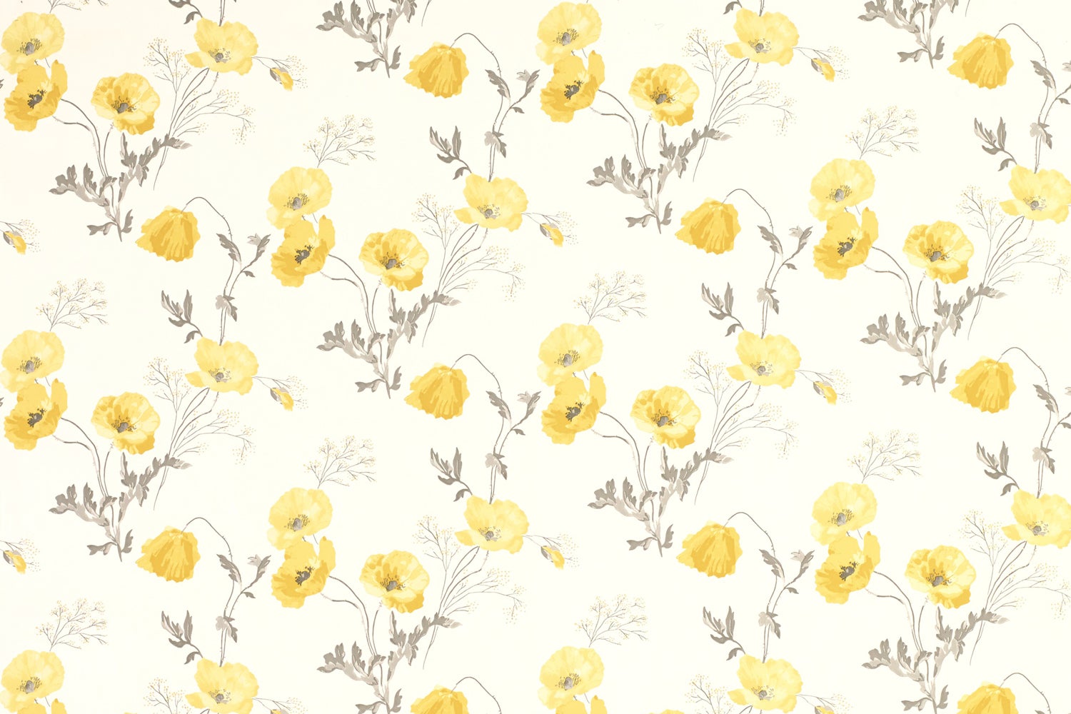 fond d'écran laura ashley jaune,jaune,camomille,fleur,ligne,plante