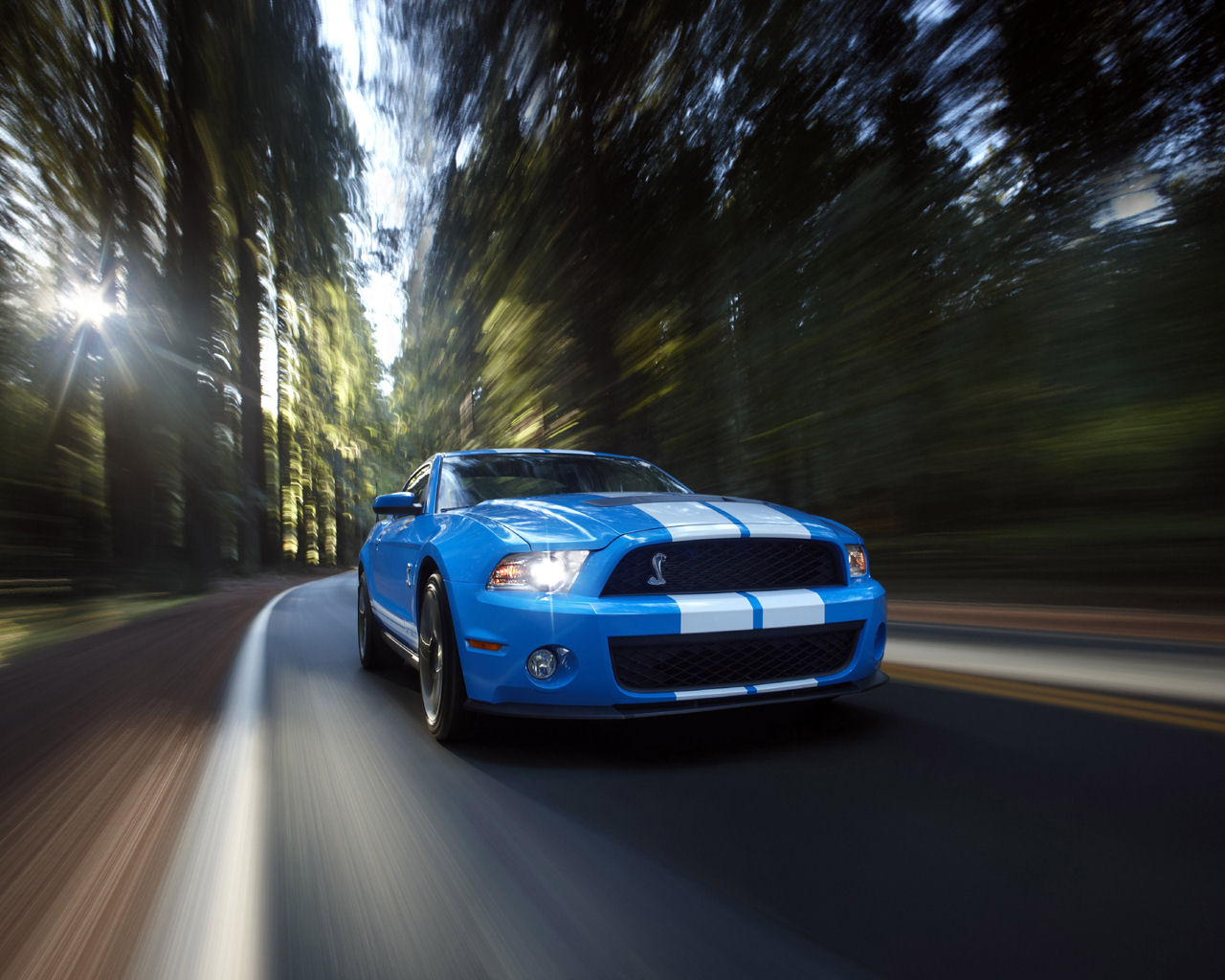 wallpaper 1024,land vehicle,vehicle,car,shelby mustang,coupé