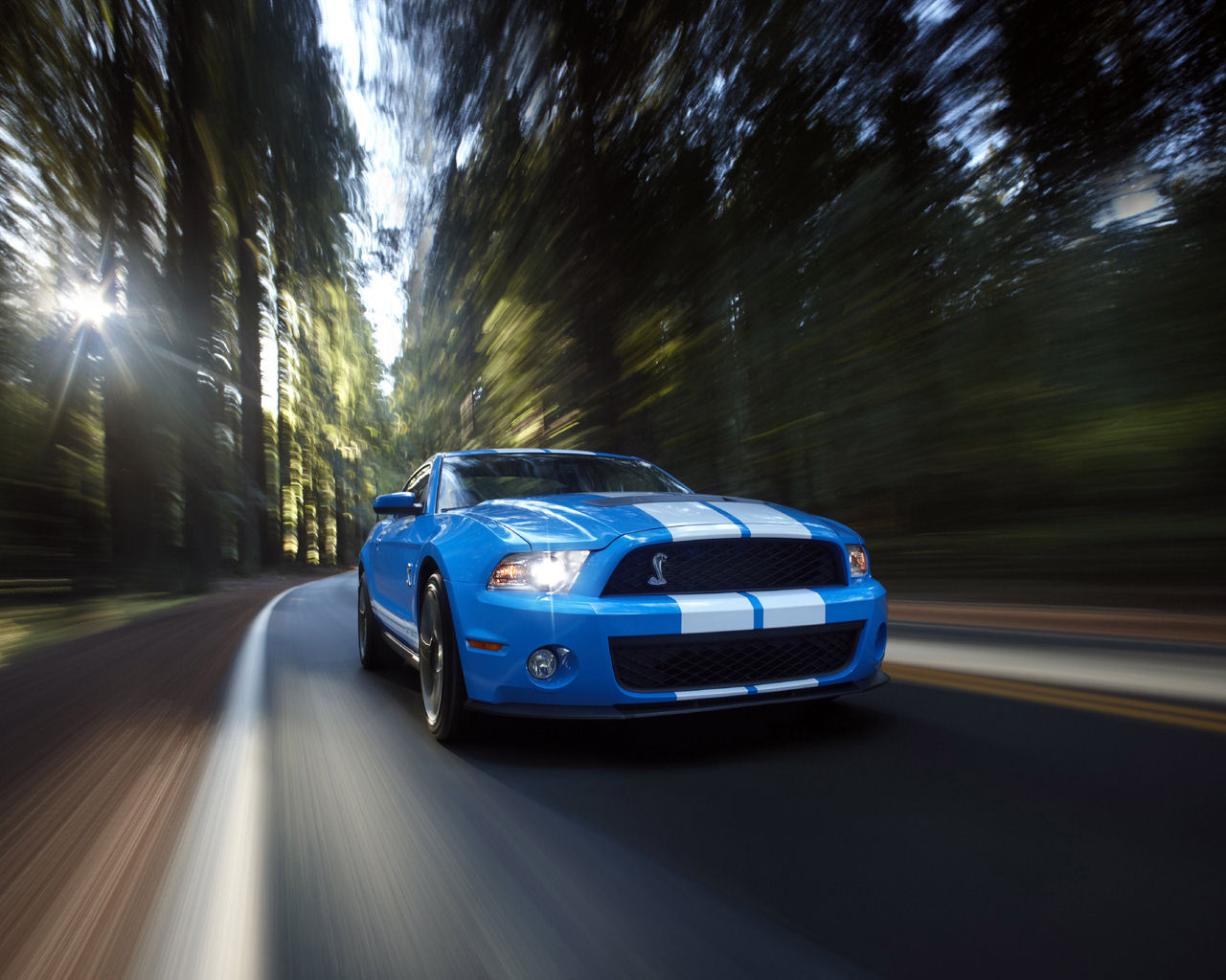 fondo de pantalla 1024,vehículo terrestre,vehículo,coche,shelby mustang,golpe