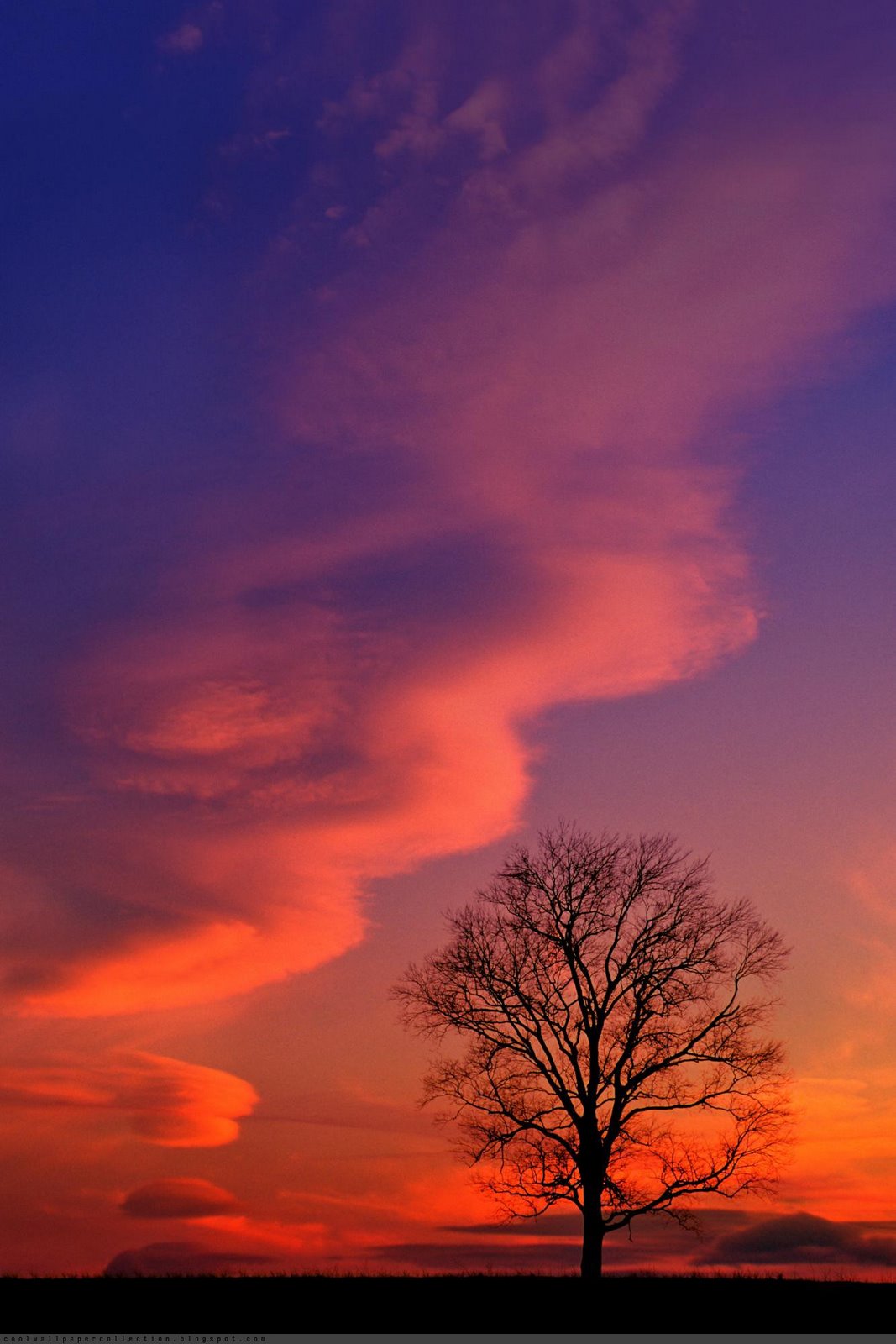 super high resolution wallpaper,sky,afterglow,red sky at morning,nature,natural landscape