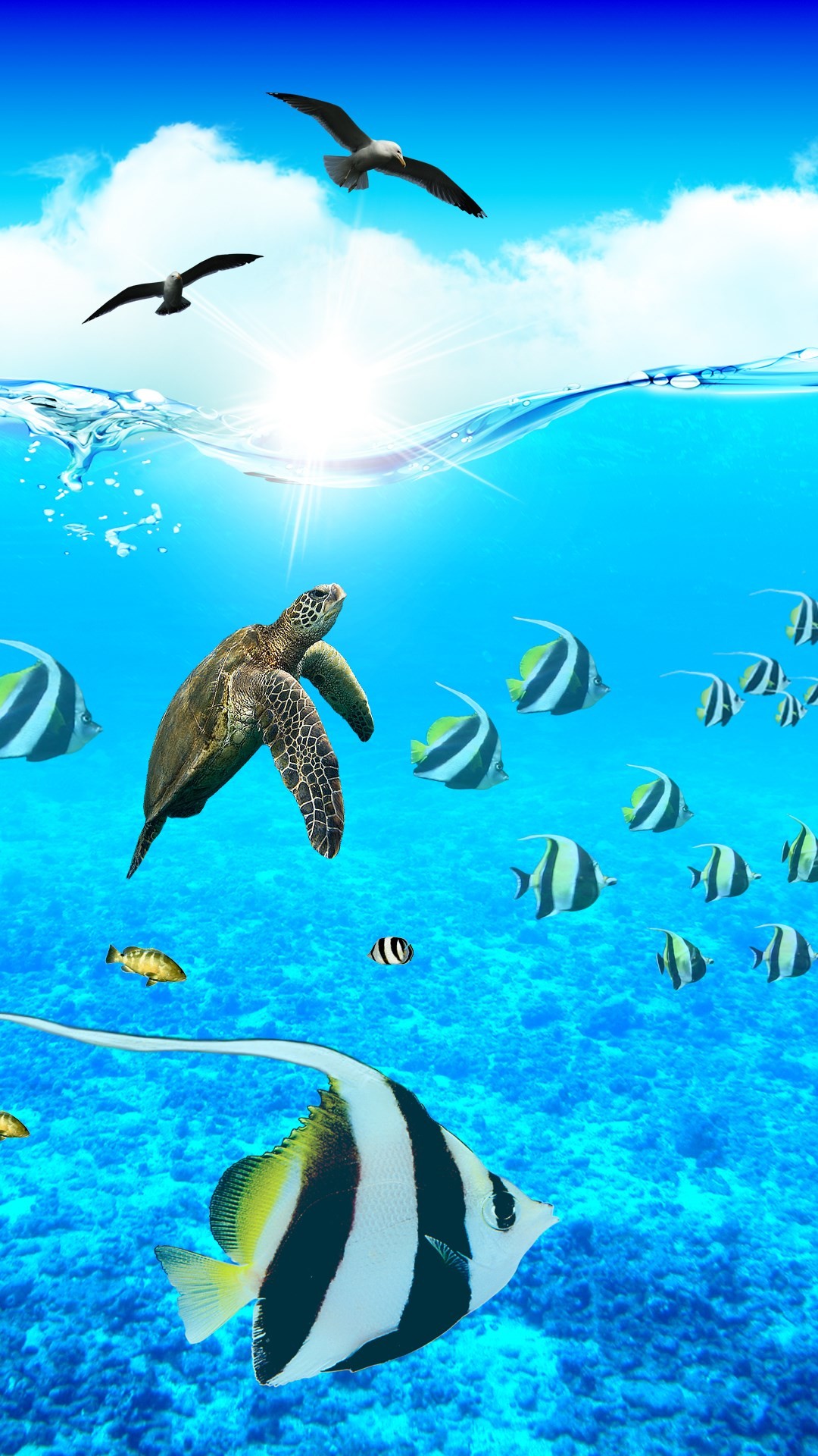 해양 생물 벽지,녹색 바다 거북,바다 거북,해양 생물학,터틀,올리브 리들리 바다 거북