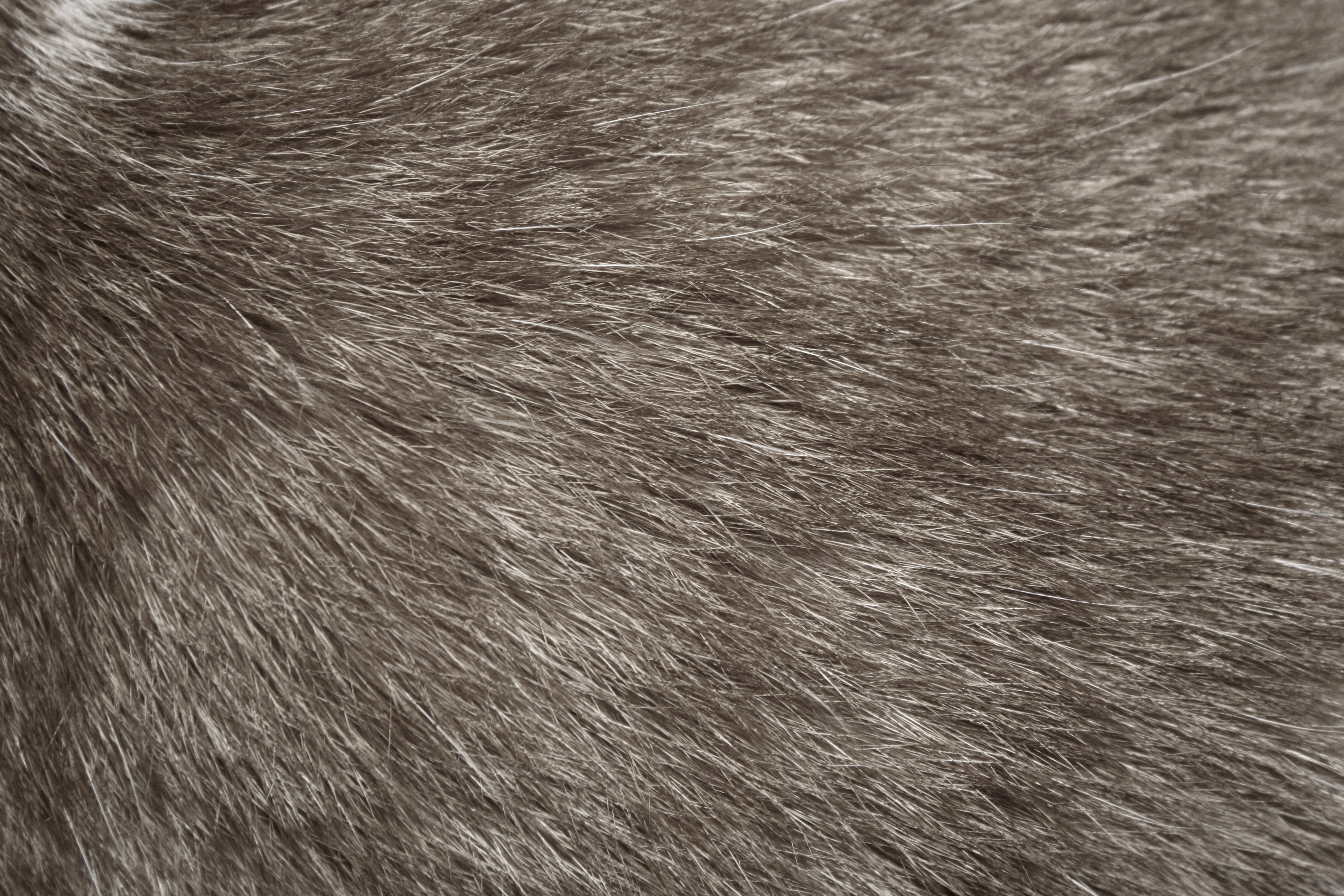 grey fur wallpaper,fur,skin,brown,textile,close up