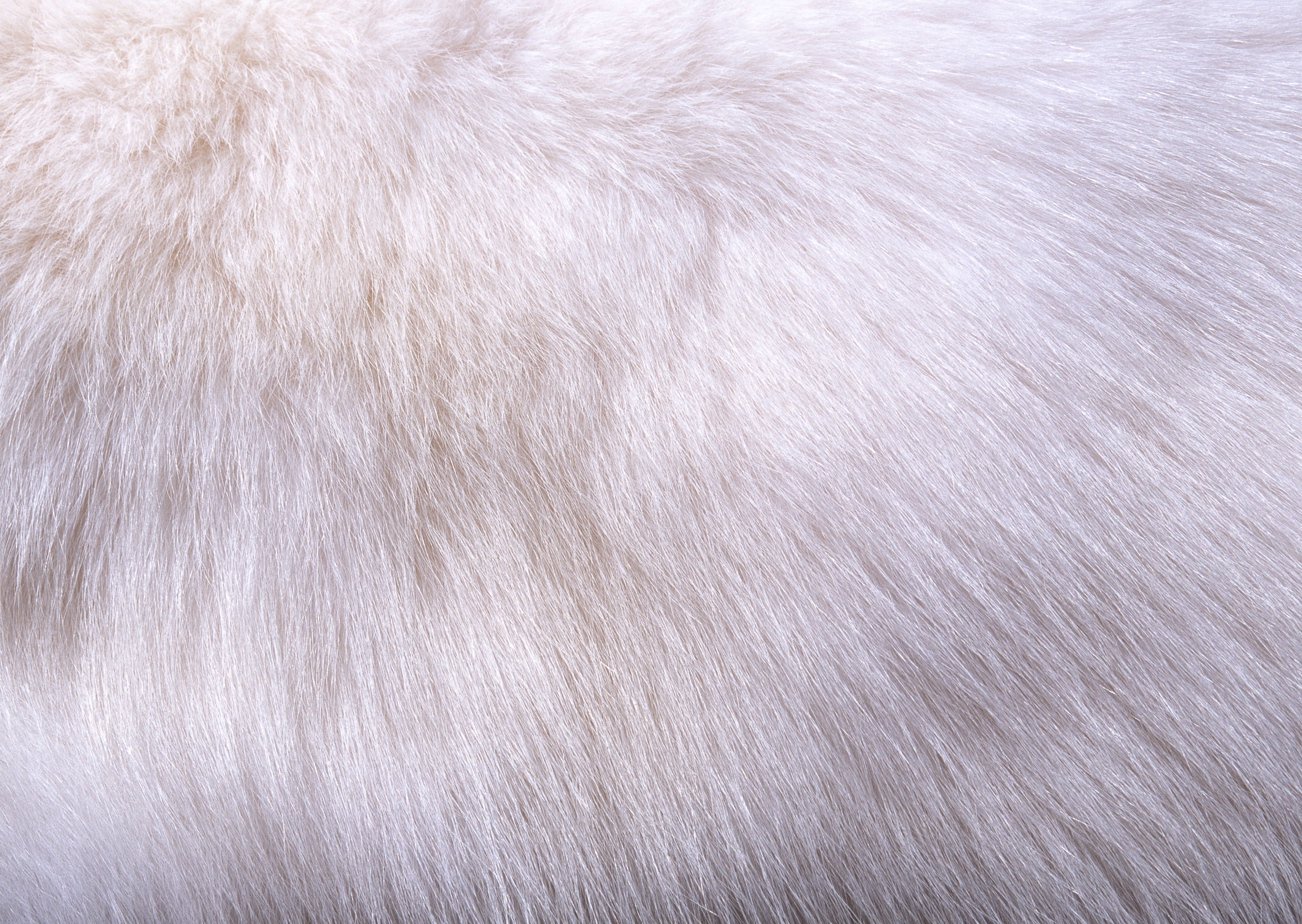 black fur wallpaper,fur,skin,fur clothing,textile,silver