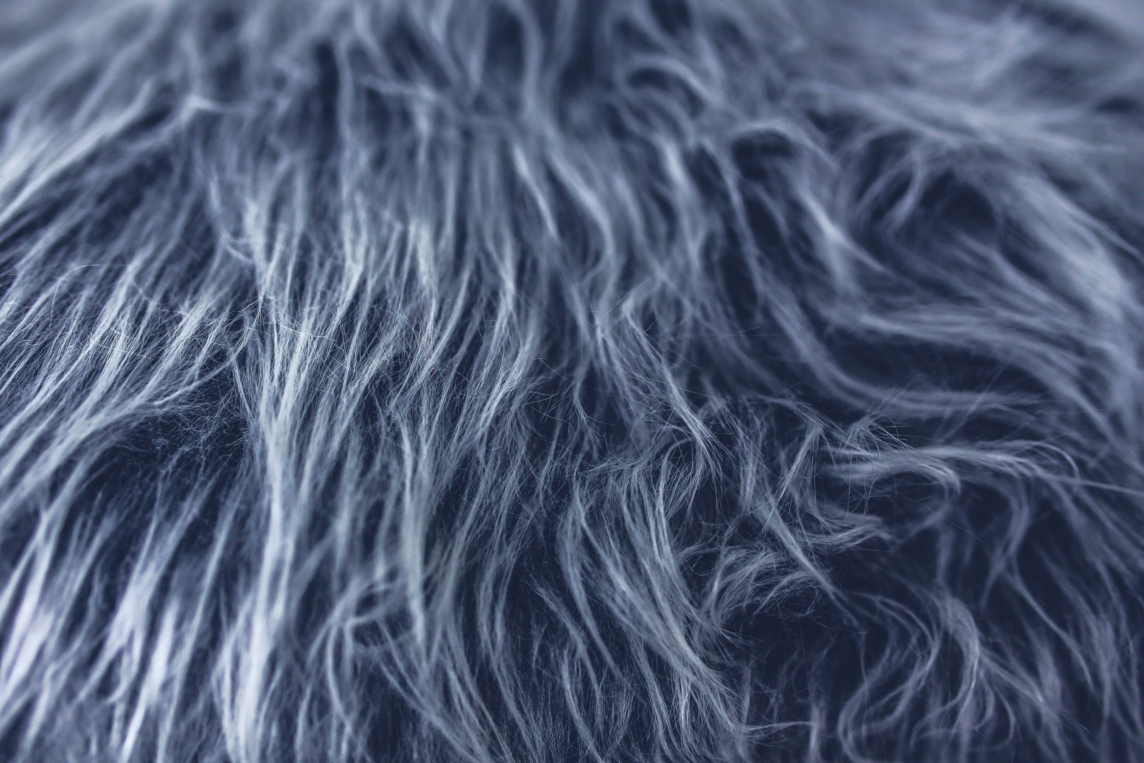 Fur, Gray, Grey, Texture 4k Wallpaper - Gray Fur Hd- WallpaperUse