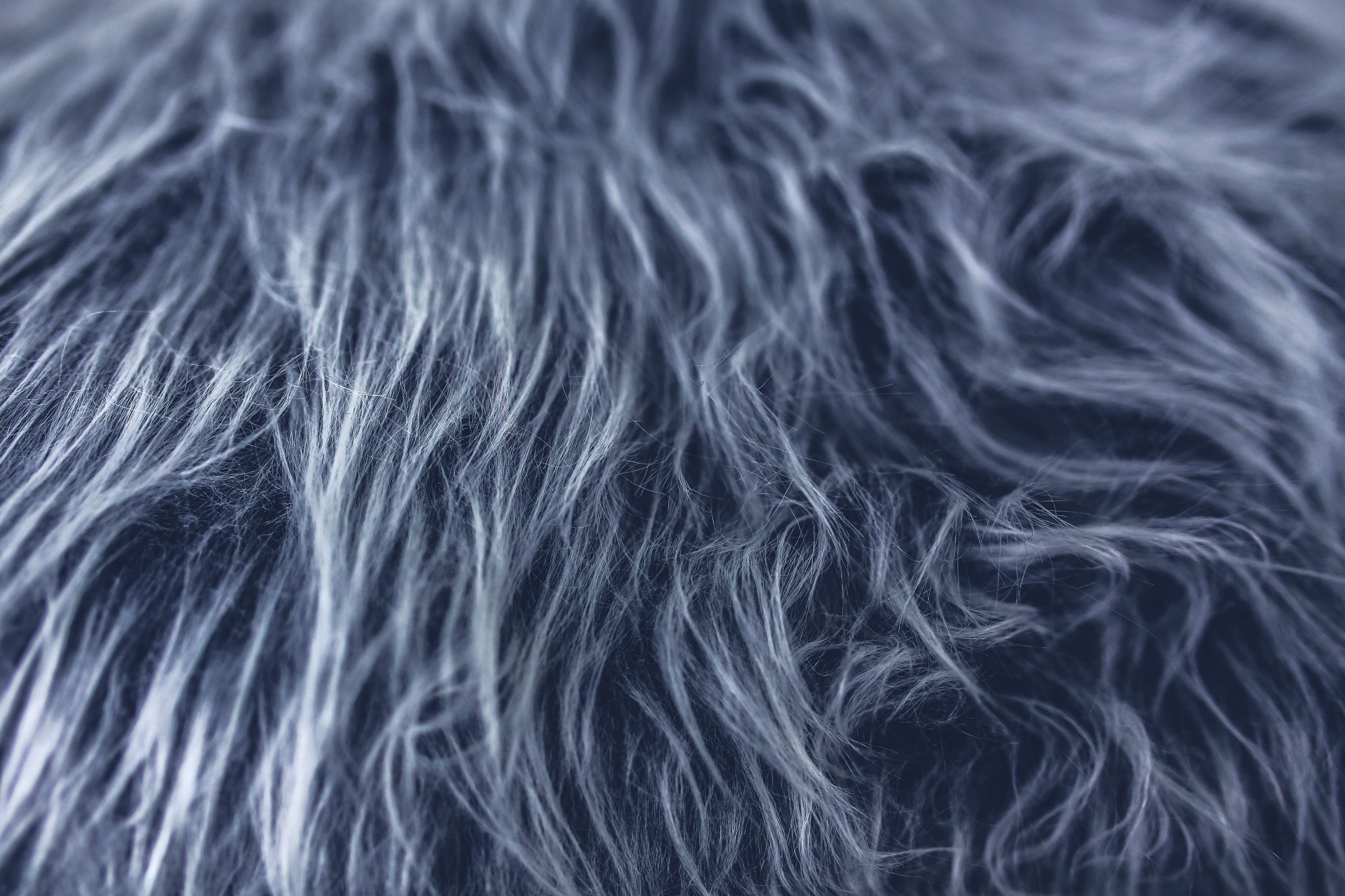 papel pintado de piel gris,cabello,piel,de cerca,textil,fotografía