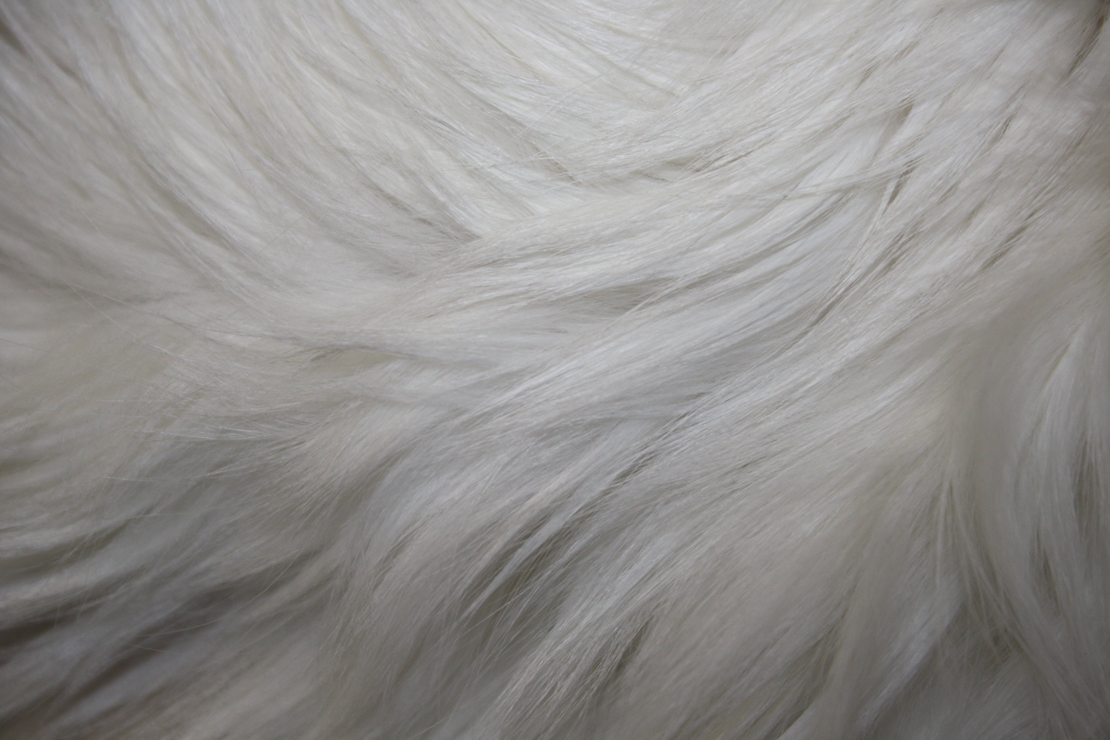 papier peint fourrure blanche,fourrure,cheveux,blanc,vêtements en fourrure,textile