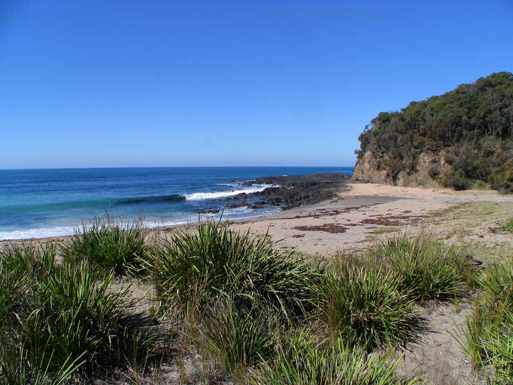 carta da parati mirto spiaggia,costa,riva,paesaggio naturale,spiaggia,promontorio