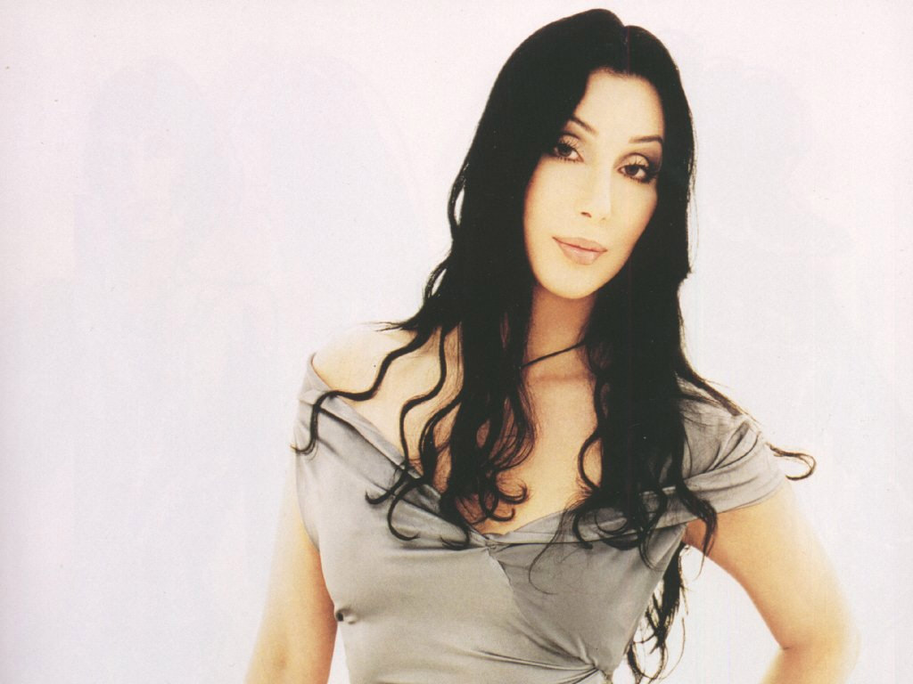 CHER BELIEVE LONG DARK HAIR PICTURE WALL POSTER NEW