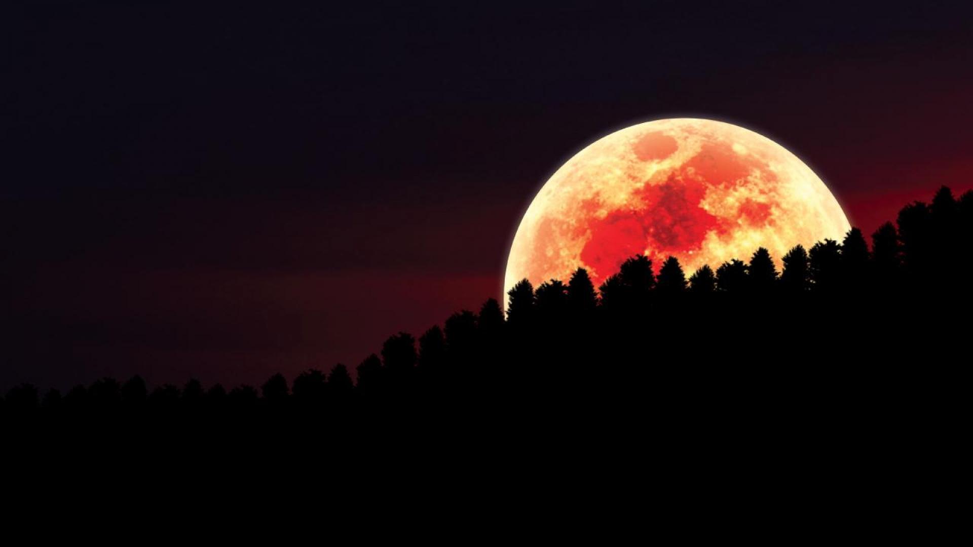 赤い月の壁紙,月,空,自然,満月,天体