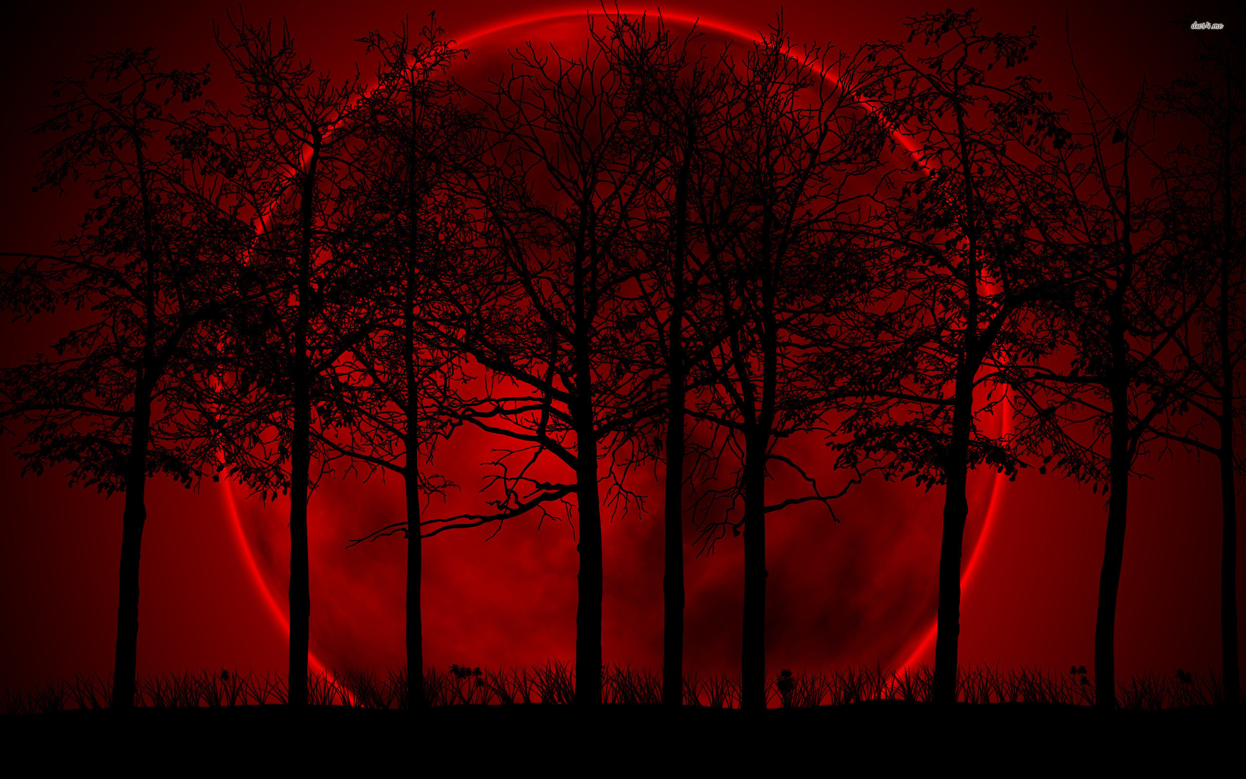 赤い月の壁紙,赤,自然,空,朝の赤い空,木