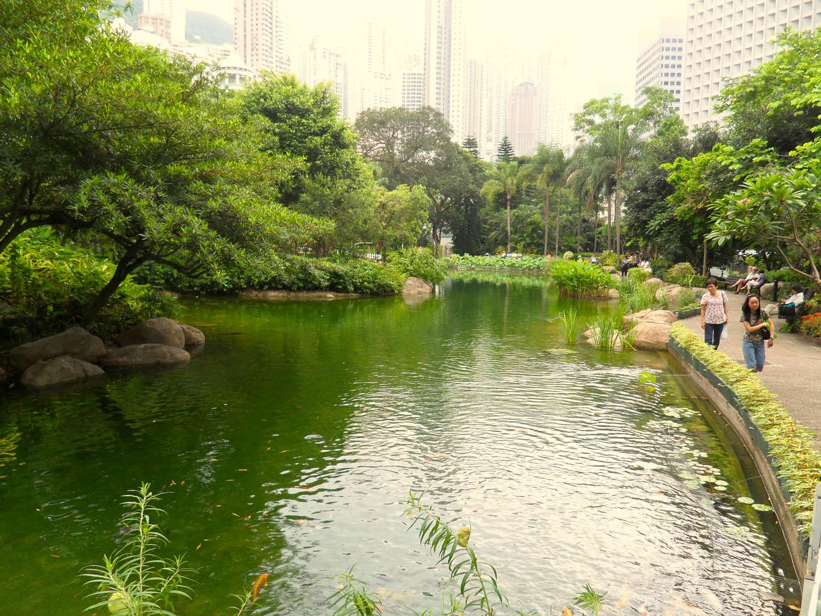 fondo de pantalla de estanque,cuerpo de agua,paisaje natural,naturaleza,recursos hídricos,estanque