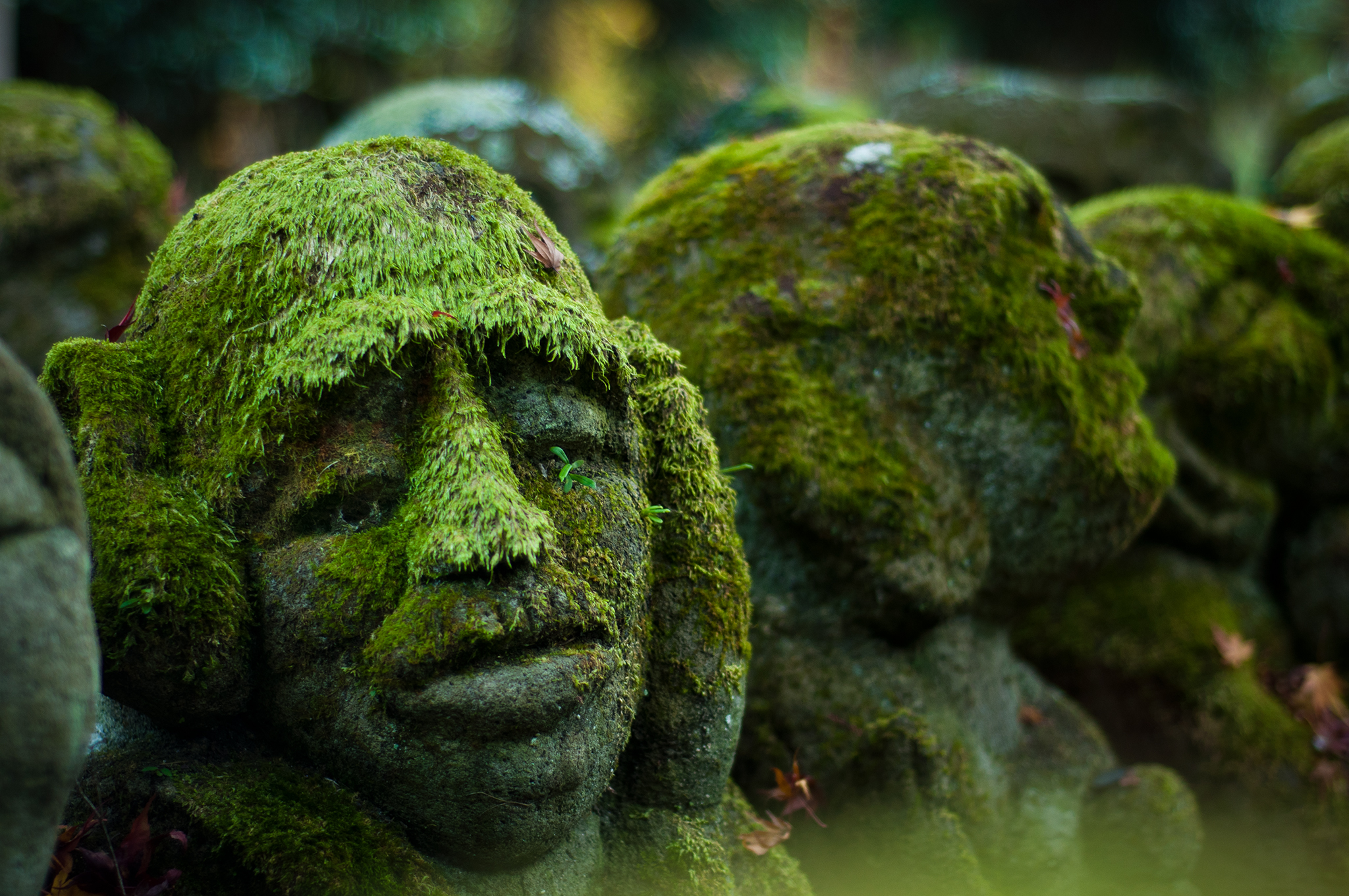 fondo de pantalla de musgo,naturaleza,verde,esculpir,paisaje natural,escultura