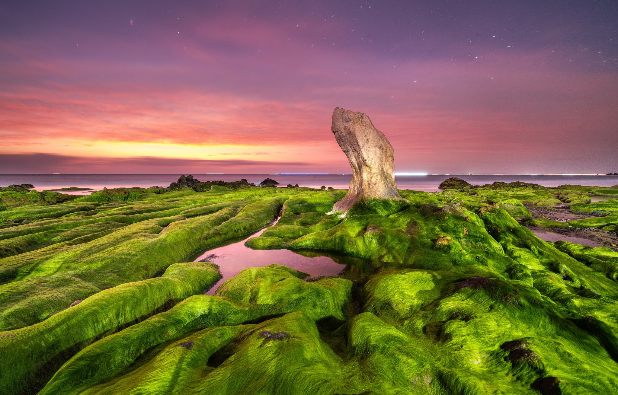 papier peint mousse,la nature,paysage naturel,ciel,herbe,roche