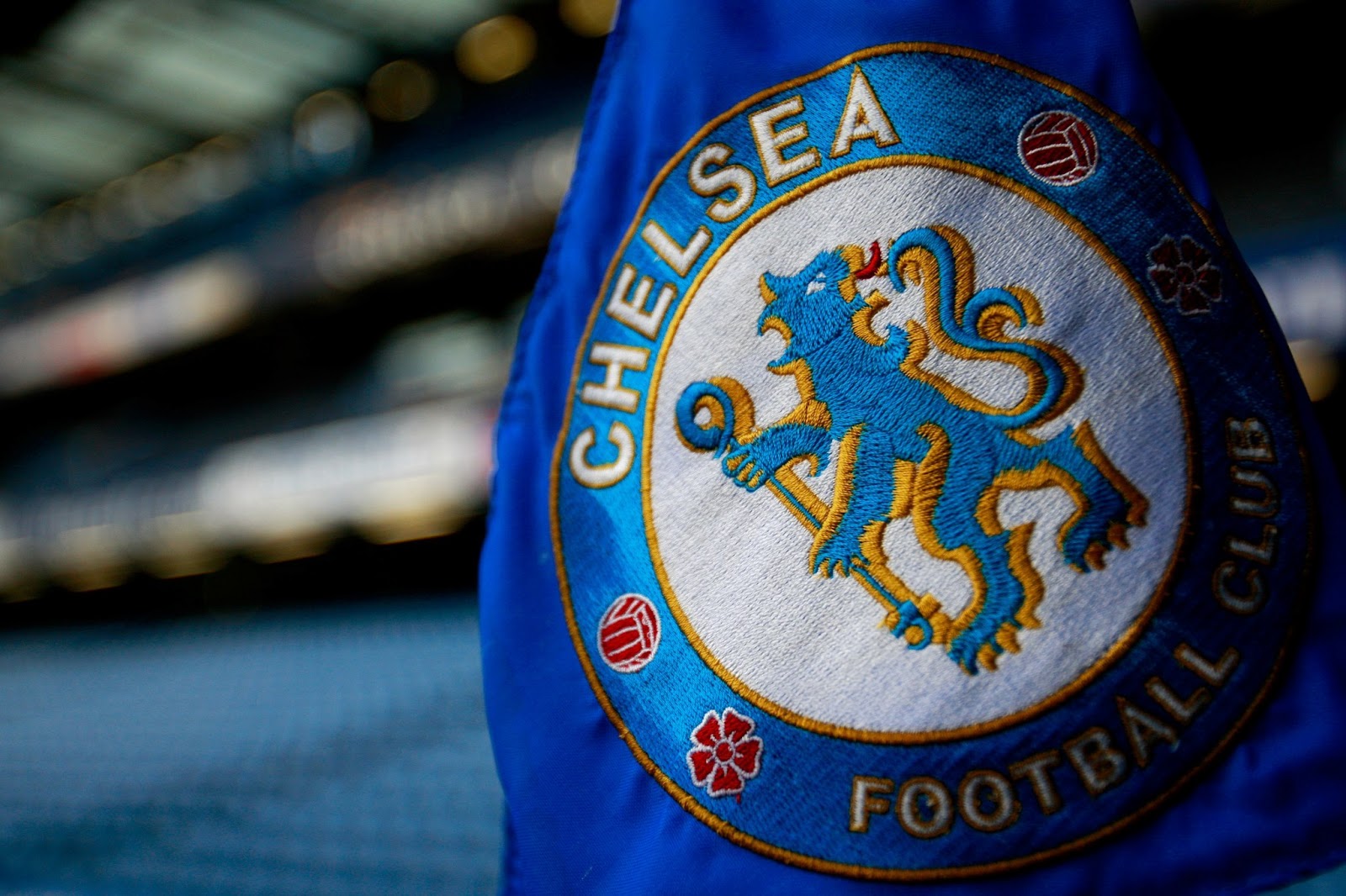 chelsea wallpaper hd,blue,drink,beer