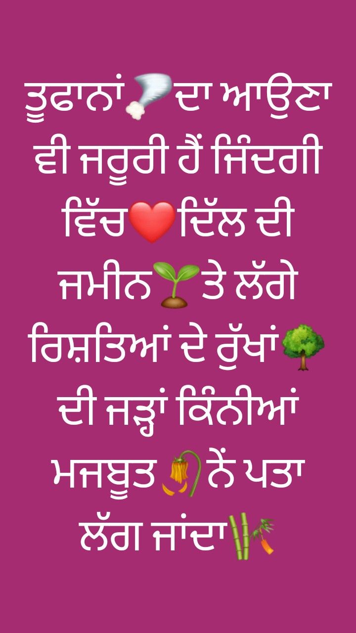 punjabi wallpaper for whatsapp,text,font,pink,happy,organism