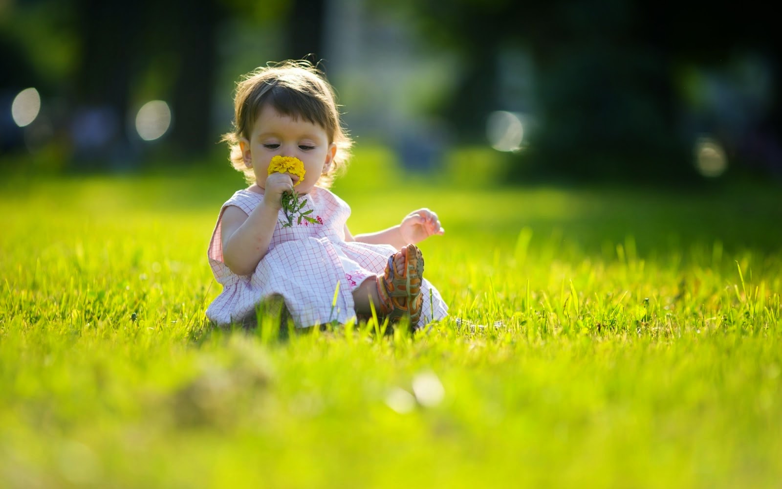 fond d'écran punjabi pour whatsapp,enfant,herbe,photographier,bambin,vert