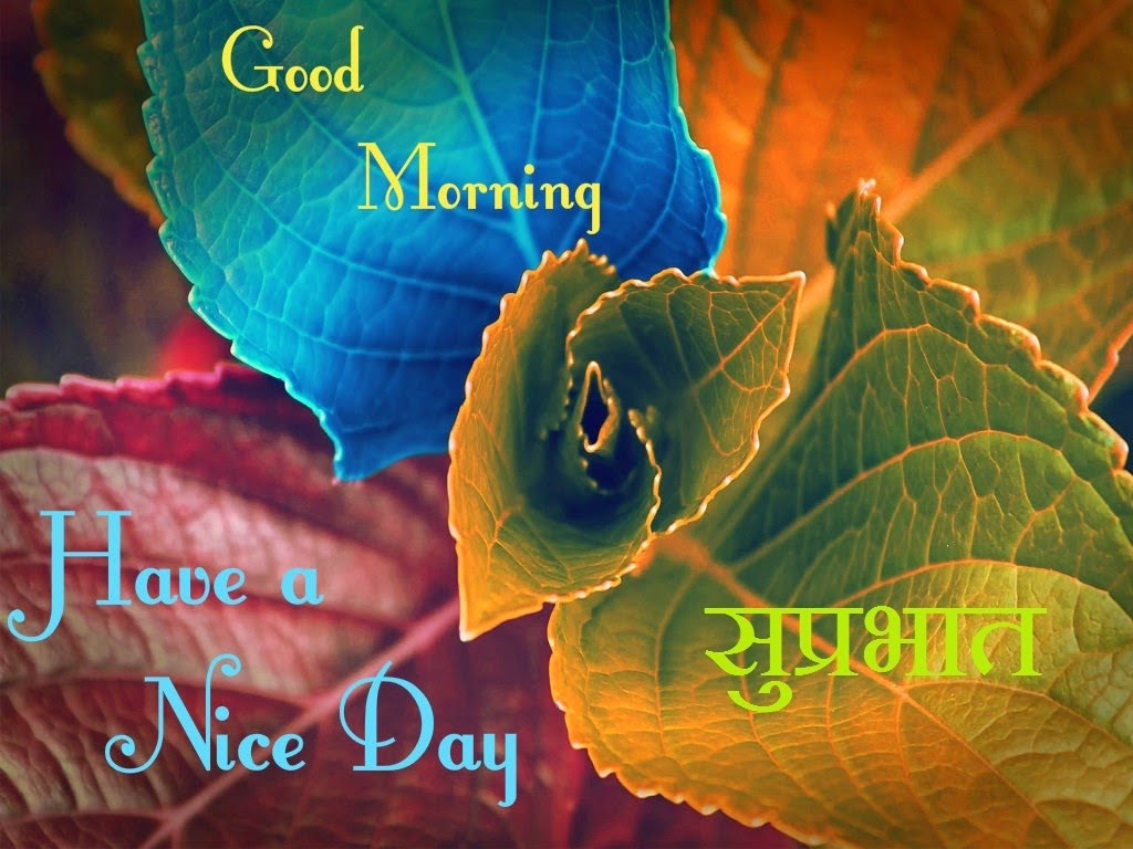 good morning ke wallpaper,leaf,text,font,flower,morning (70928