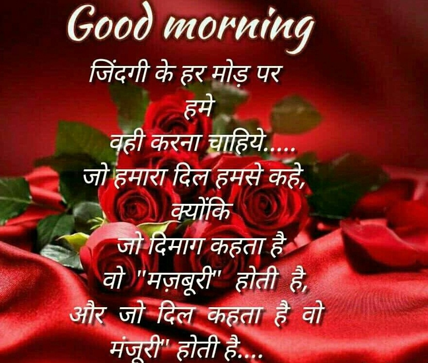 good morning ke wallpaper,red,valentine's day,text,rose,garden roses