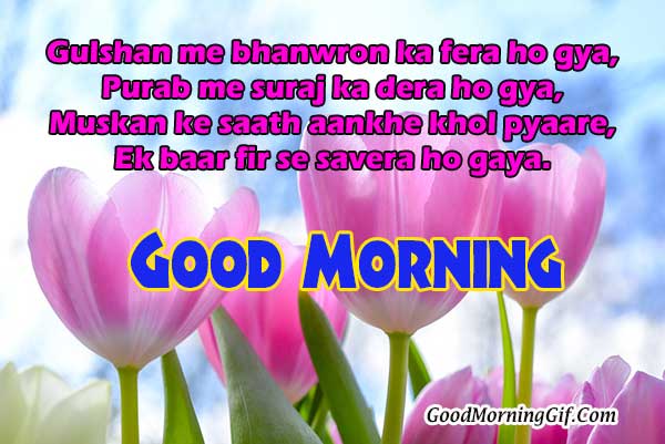 good morning ke wallpaper,petal,flower,tulip,text,morning