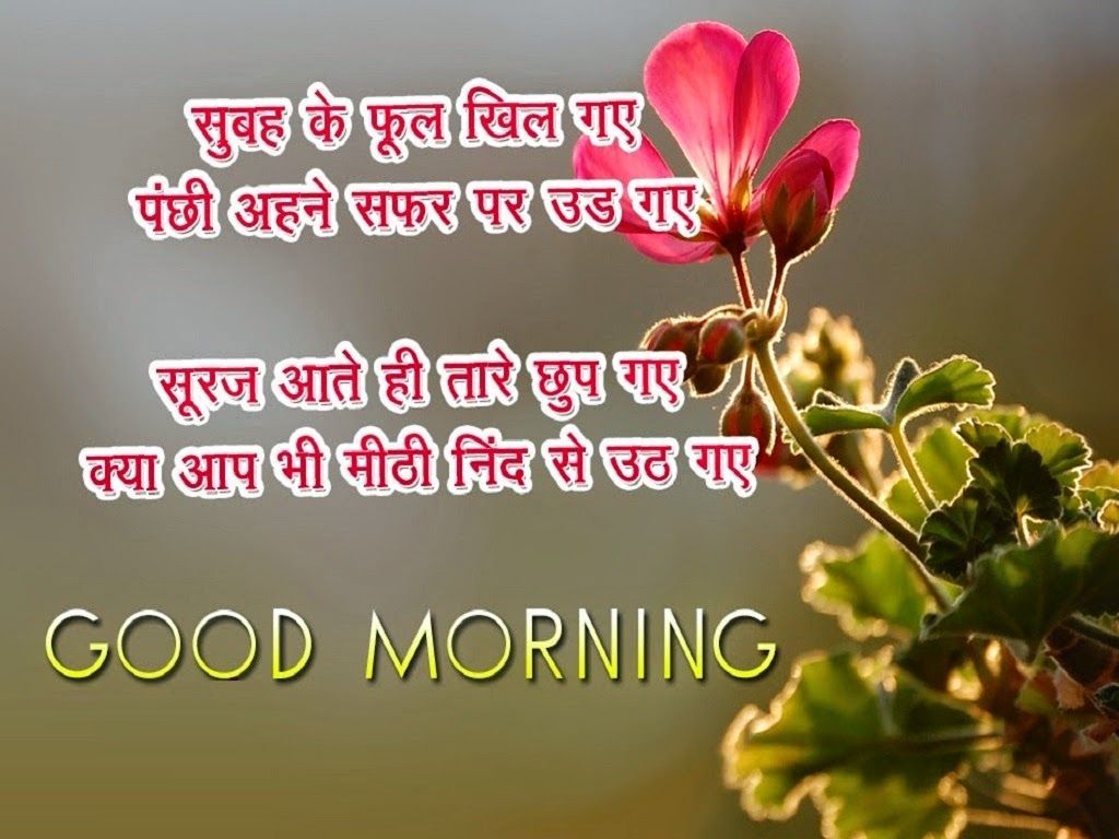 good morning ke wallpaper,flower,plant,text,morning,font