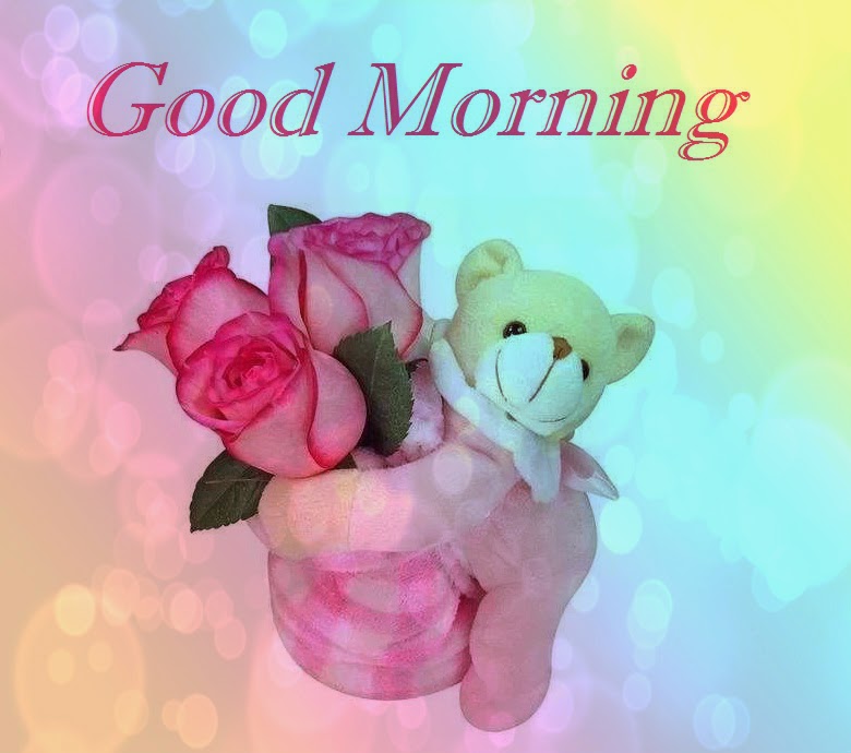 latest good morning wallpaper,pink,cut flowers,flower,rose,love