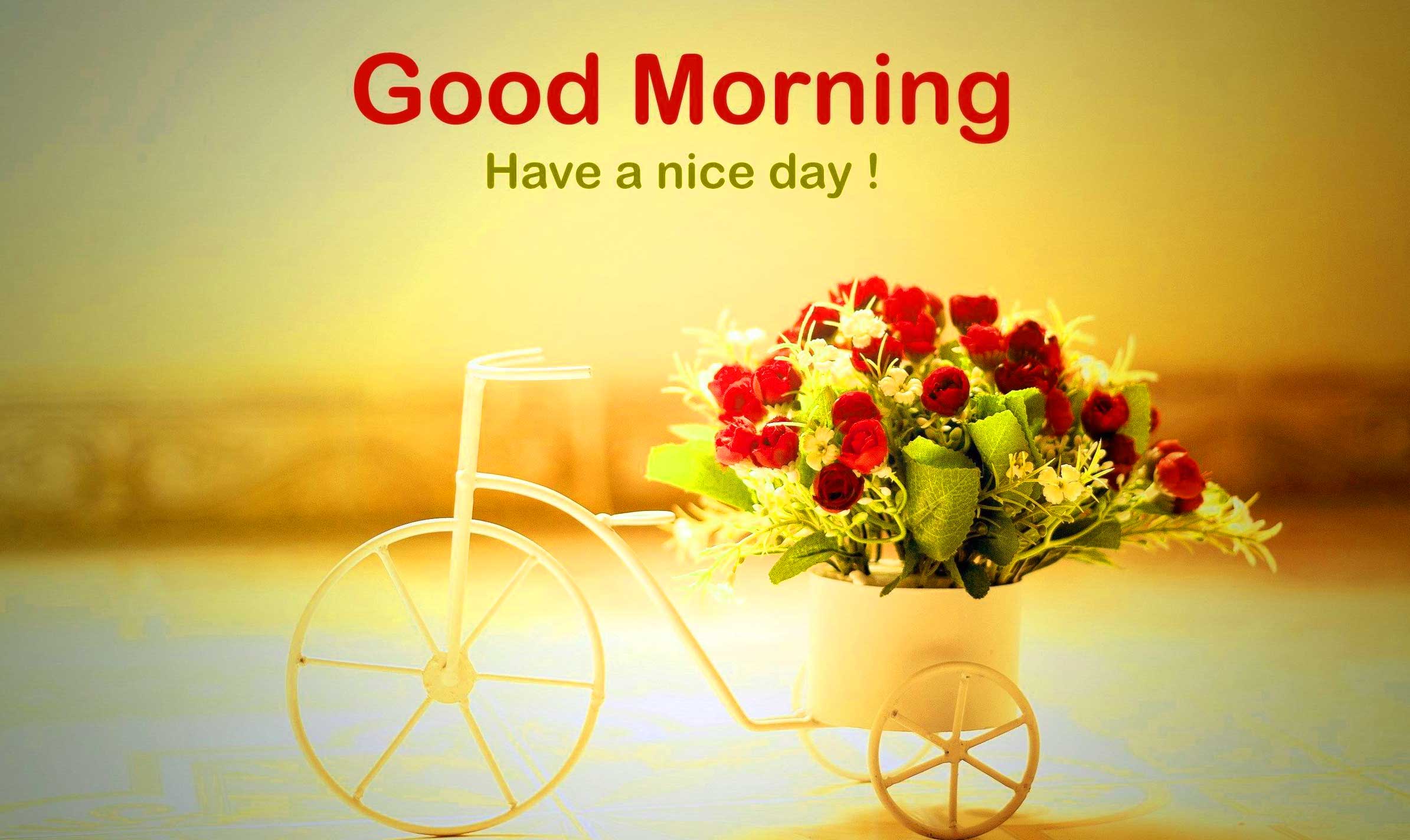 latest good morning wallpaper,cut flowers,flower,morning,flower arranging,floral design