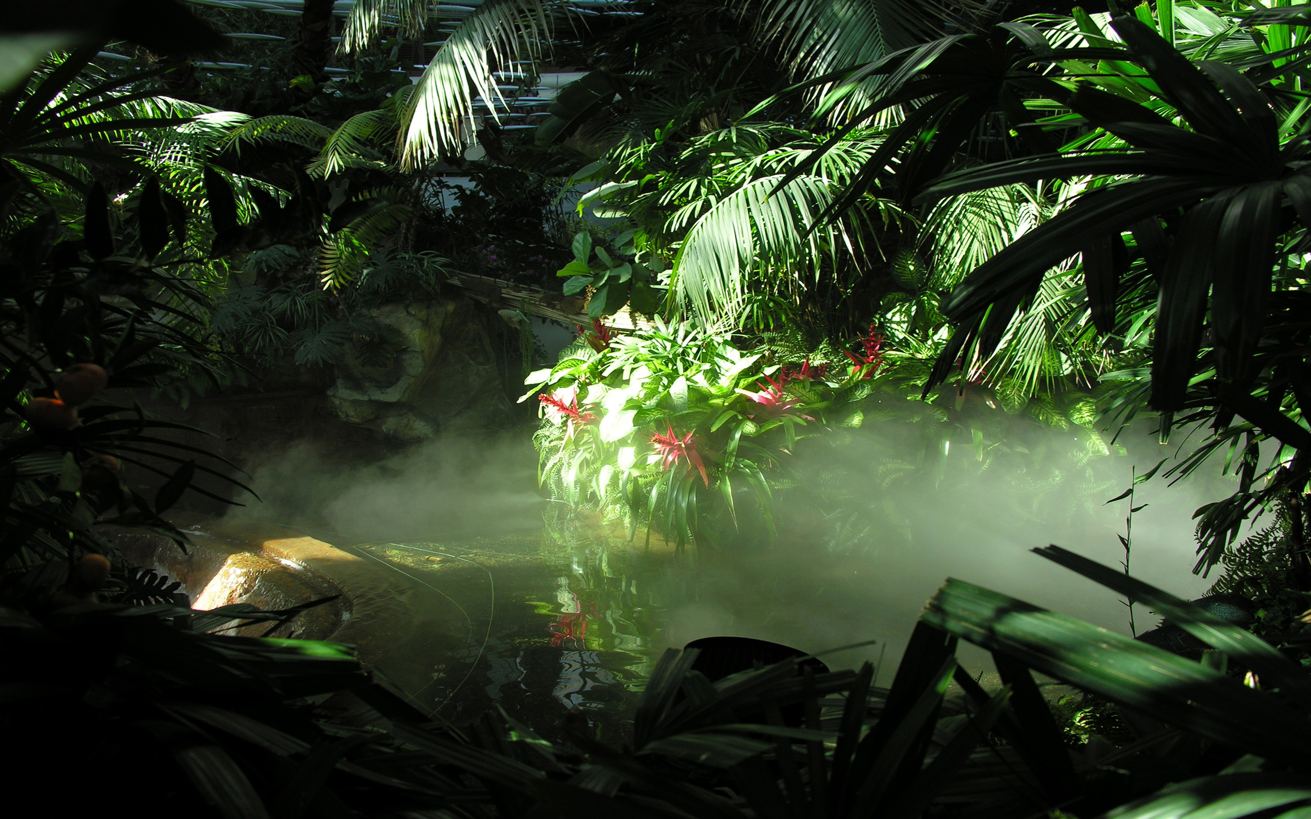 Jungle Wallpaper Hd Vegetation Nature Jungle Natural Environment Green 711 Wallpaperuse
