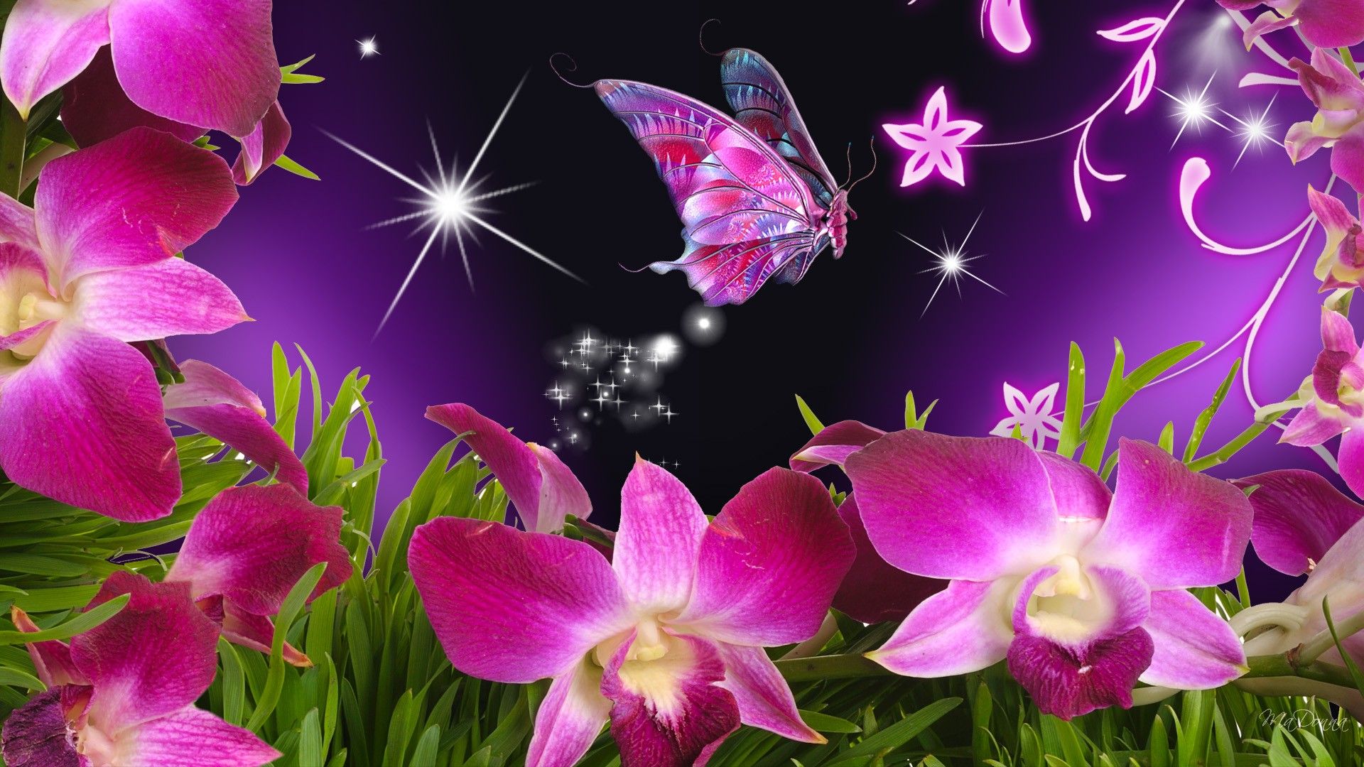 butterfly with flowers wallpapers,butterfly,petal,flower,pink,insect